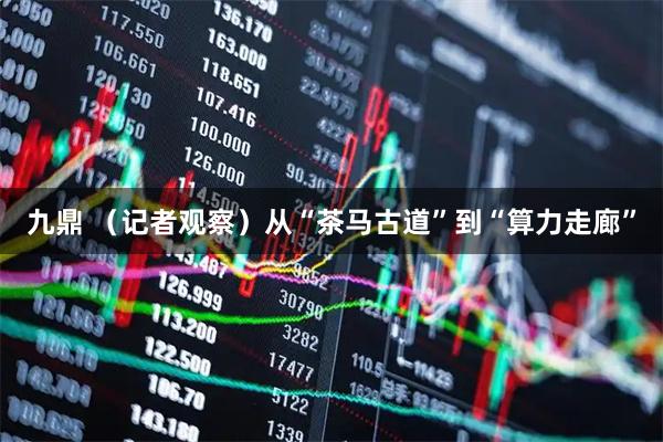 九鼎 （记者观察）从“茶马古道”到“算力走廊”