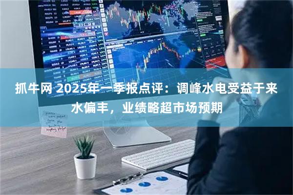 抓牛网 2025年一季报点评：调峰水电受益于来水偏丰，业绩略超市场预期