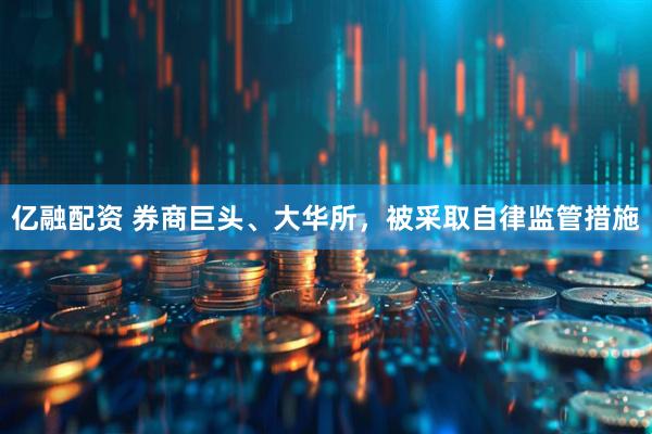 亿融配资 券商巨头、大华所，被采取自律监管措施