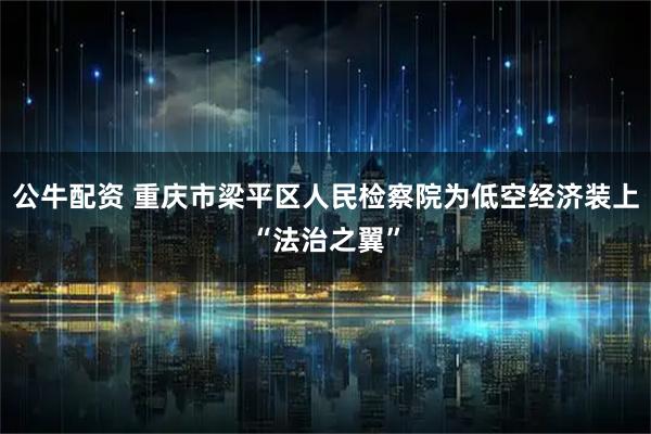 公牛配资 重庆市梁平区人民检察院为低空经济装上“法治之翼”