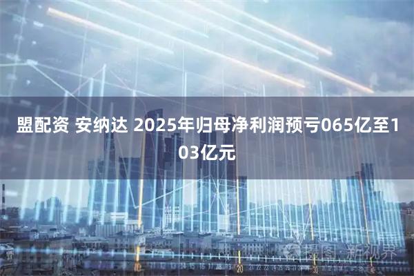 盟配资 安纳达 2025年归母净利润预亏065亿至103亿元