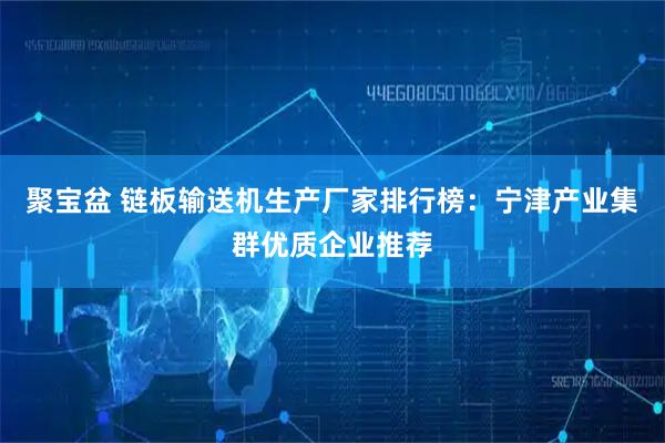 聚宝盆 链板输送机生产厂家排行榜:宁津产业集群优质企业推荐